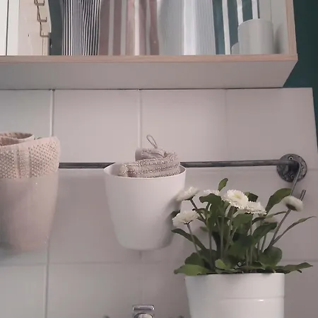 Coeur Vieux , Bienvenue Chez Nestyou,