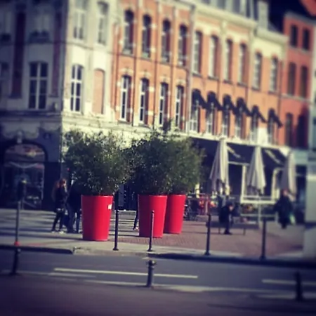 Coeur Vieux , Bienvenue Chez Nestyou,