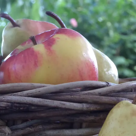 Coeur Vieux , Bienvenue Chez Nestyou, Apartament Lille