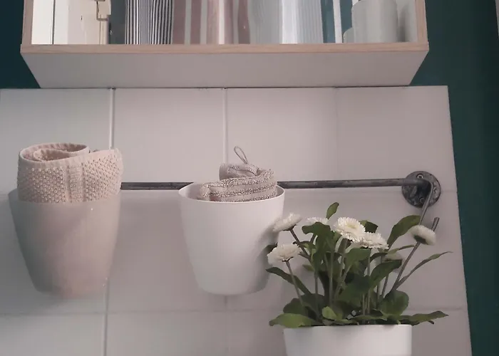 Coeur Vieux , Bienvenue Chez Nestyou,